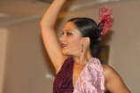 14-Flamenco reduz