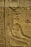16-Figuren_reduz