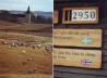 1 2950 Kraniche_neu_reduz_350