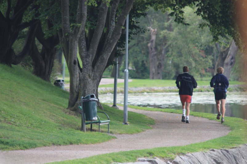 2-Jogger reduz