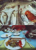 6 Fisch